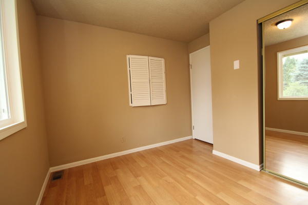 Lower level fireplace